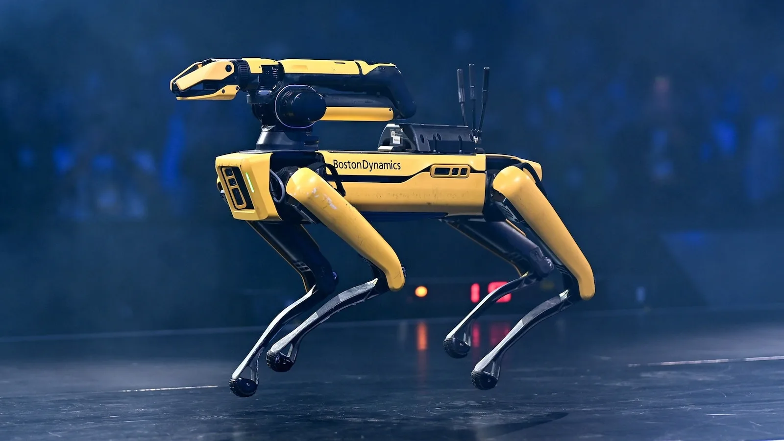 ICE Plans to Spend Up to $2 Million on Robot Dogs, Procurement Notice Shows