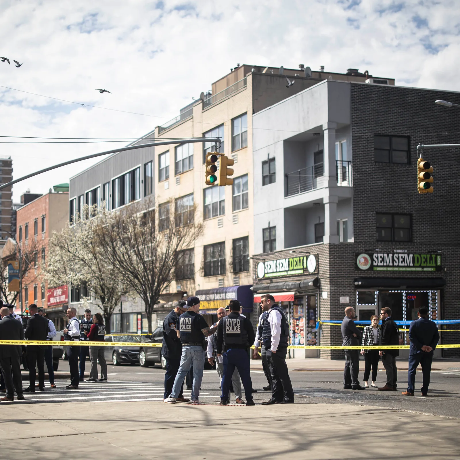 Infant in Stroller Fatally Shot in Brooklyn, Police Report