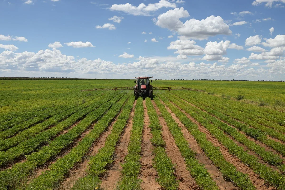 Iran War Drives Global Economic Disruptions and Security Alerts