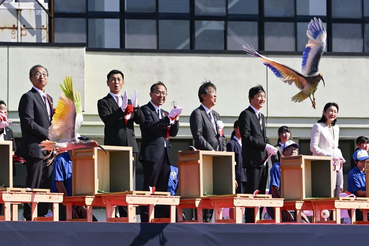 Japan Releases 40 Crested Ibises Back Into the Wild After Near Extinction