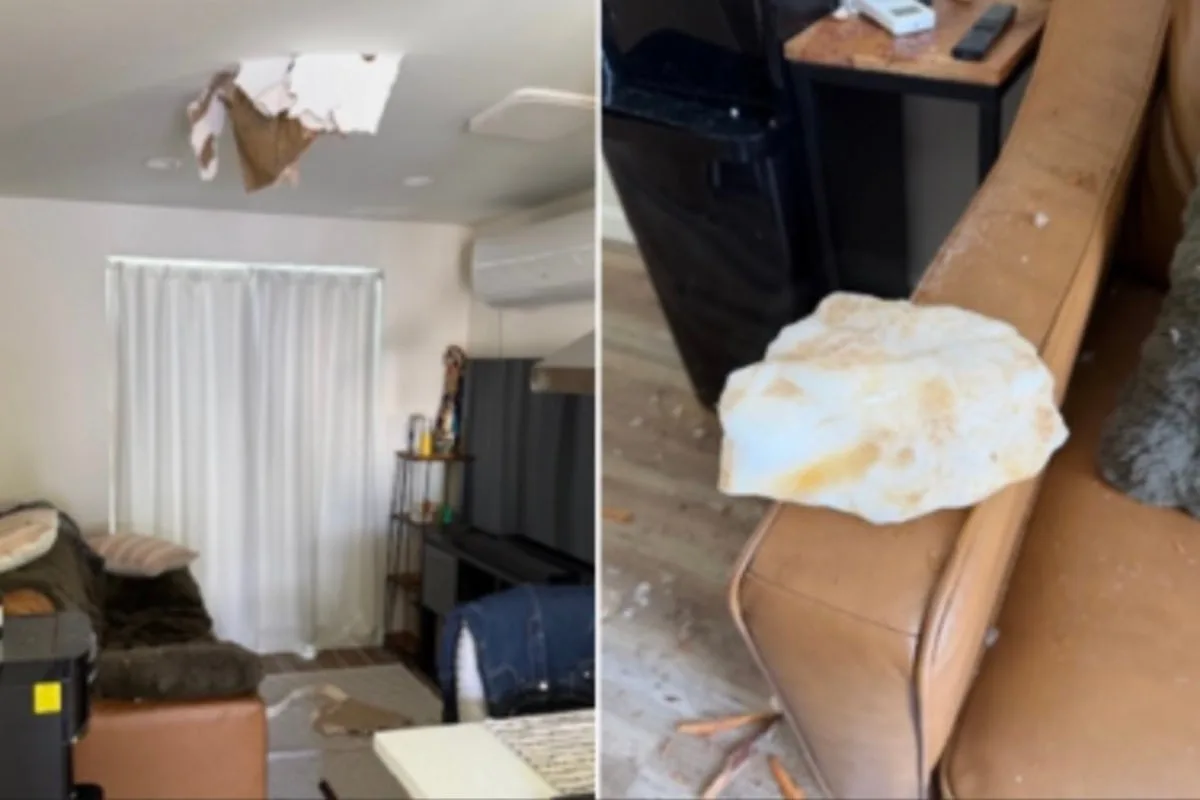 Large Block of Ice Crashes Through Roof of California Home