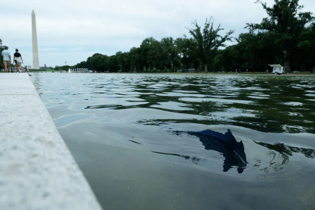 Lincoln Memorial Reflecting Pool Renovation Faces Issues With Peeling Paint and Algae Growth