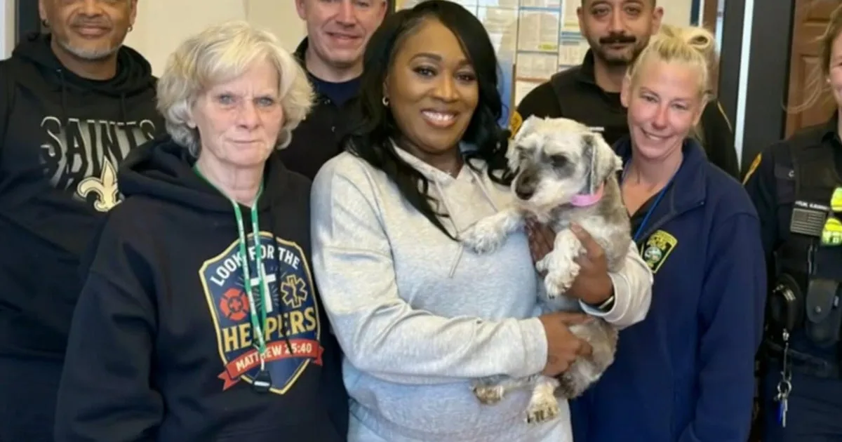 Lost Dallas Dog Found 1,300 Miles Away in New Jersey After Two Years
