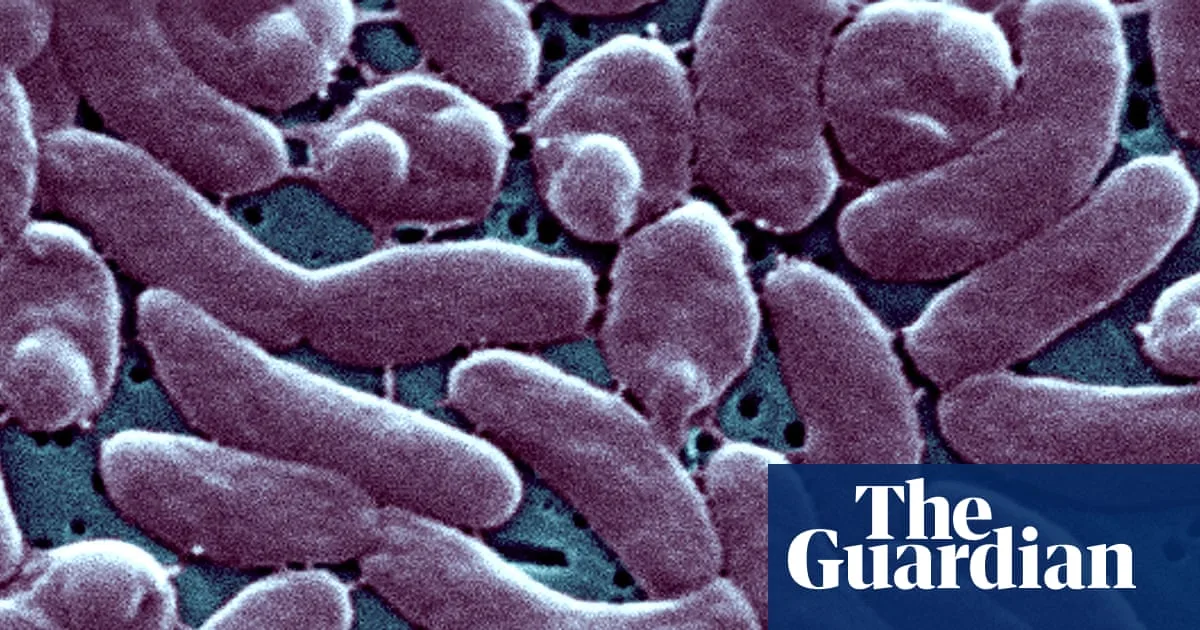 Louisiana Reports Surge in Vibrio Vulnificus Infections With Five Deaths