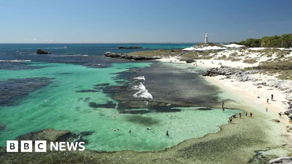 Man Dies After Shark Attack Near Rottnest Island in Western Australia