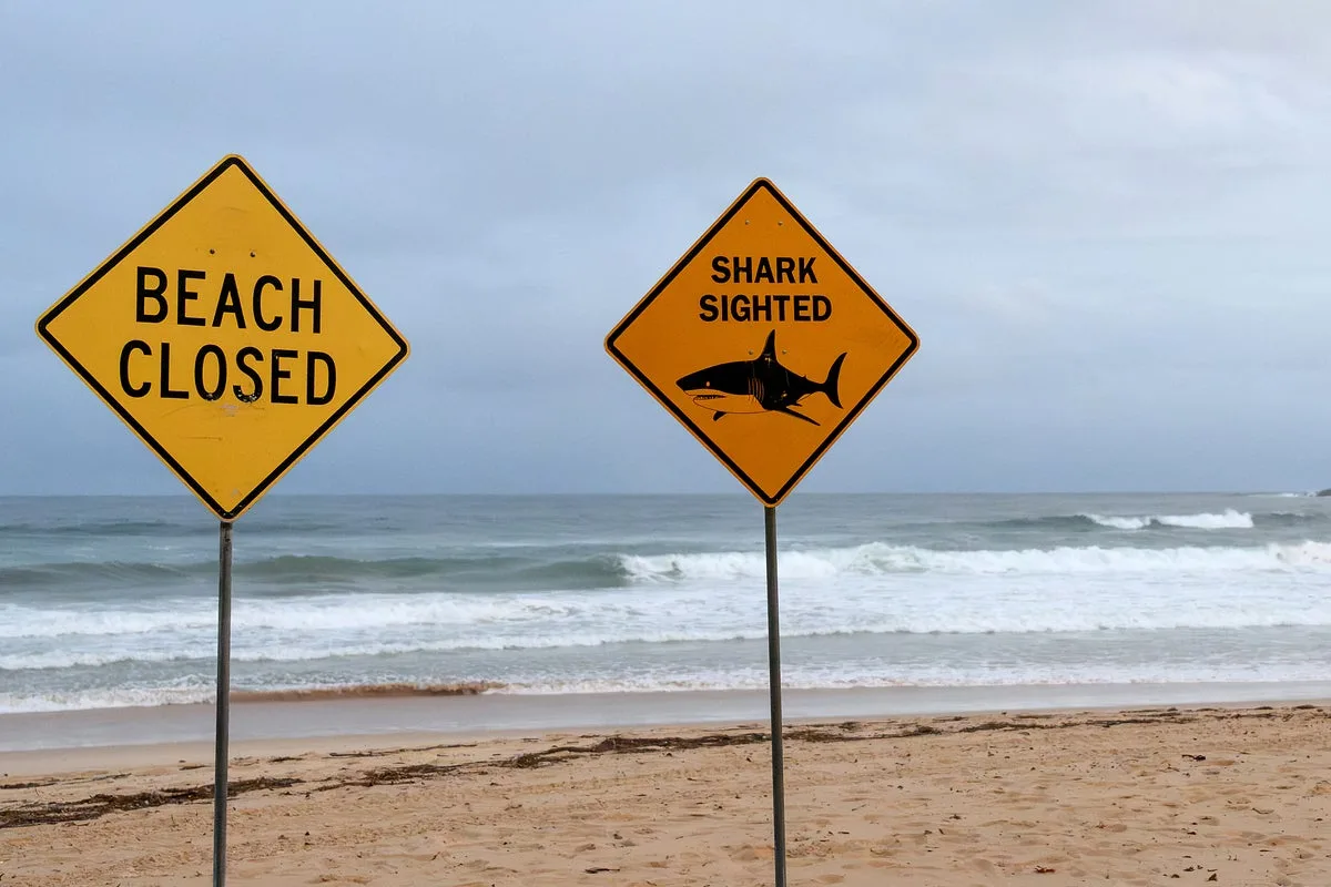 Man Dies After Shark Attack While Spearfishing Near Michaelmas Island, Western Australia