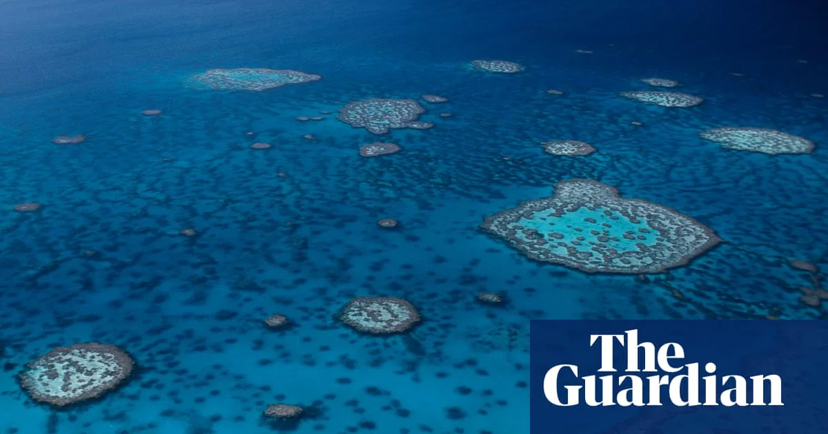 Man Dies Following Shark Attack on Great Barrier Reef Off Queensland Coast