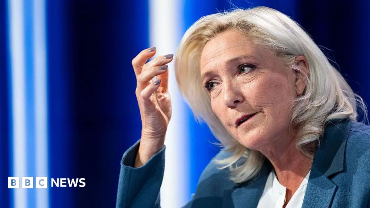 Marine Le Pen Awaits Appeal Verdict on EU Funds Misuse Conviction