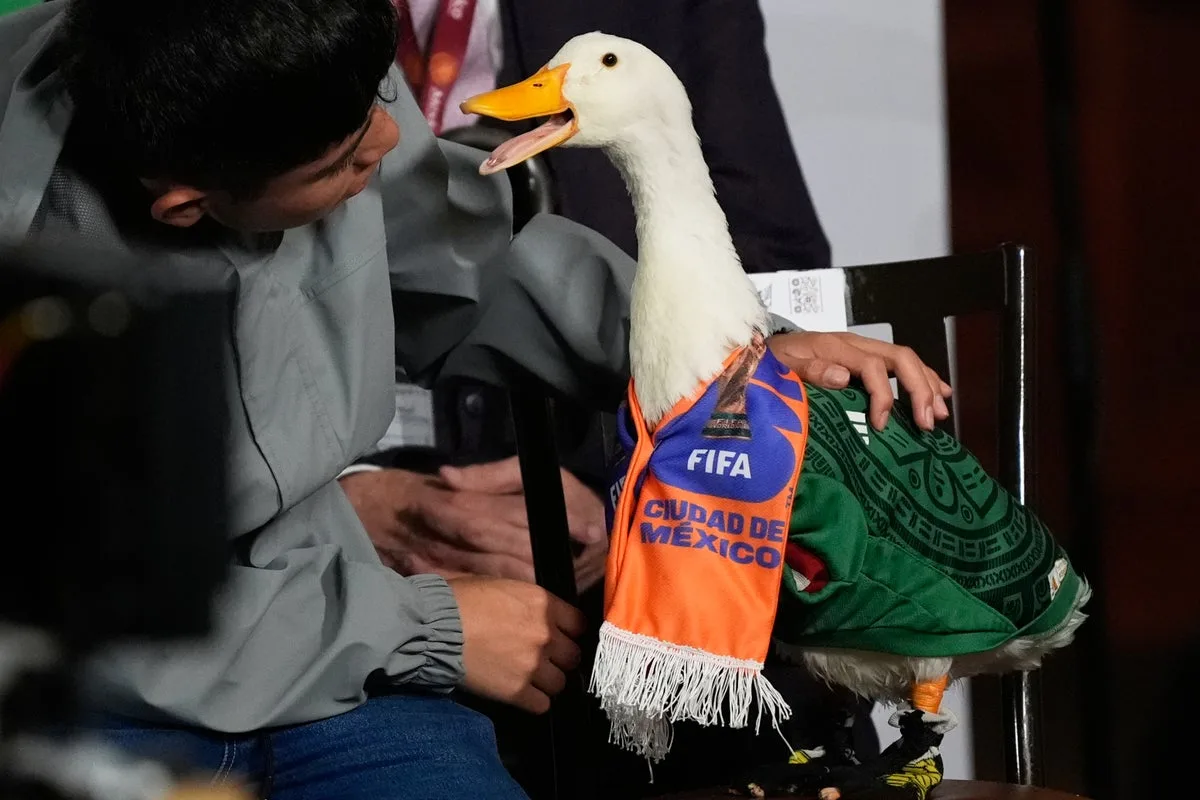 Merlín the Duck Denied Entry to Mexico vs Czechia World Cup Match by FIFA Rules