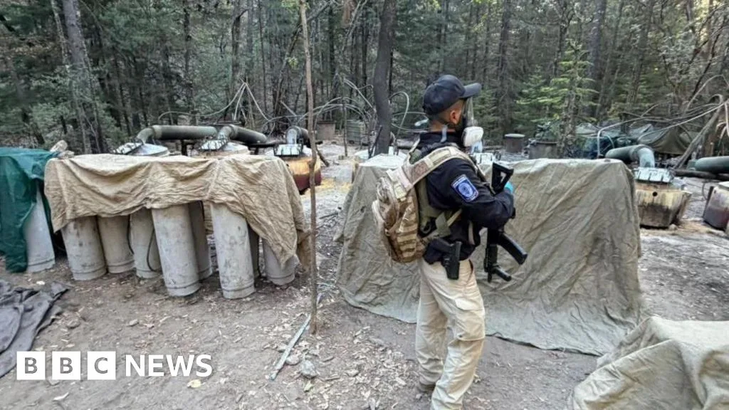 Mexico Says US Agents Killed in Crash Lacked Authorization for Local Operations