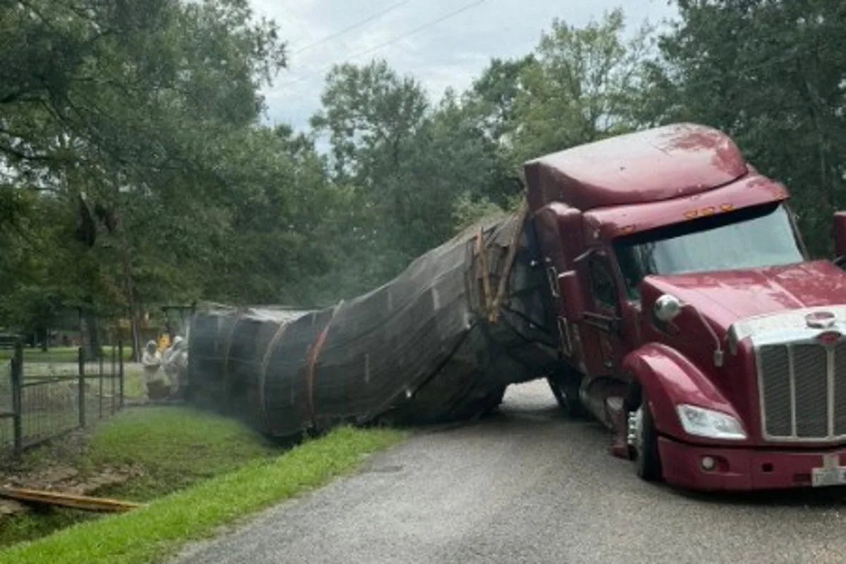 Millions of Honeybees Escape After Semitrailer Carrying Hives Overturns in Texas