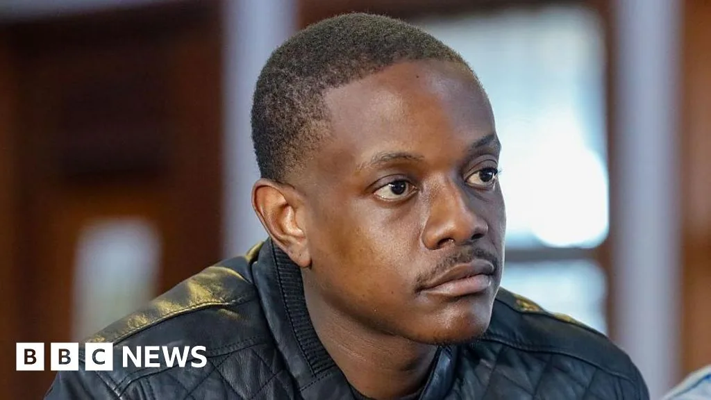 Mugabe's Son Pleads Guilty to Firearm Charges in South Africa