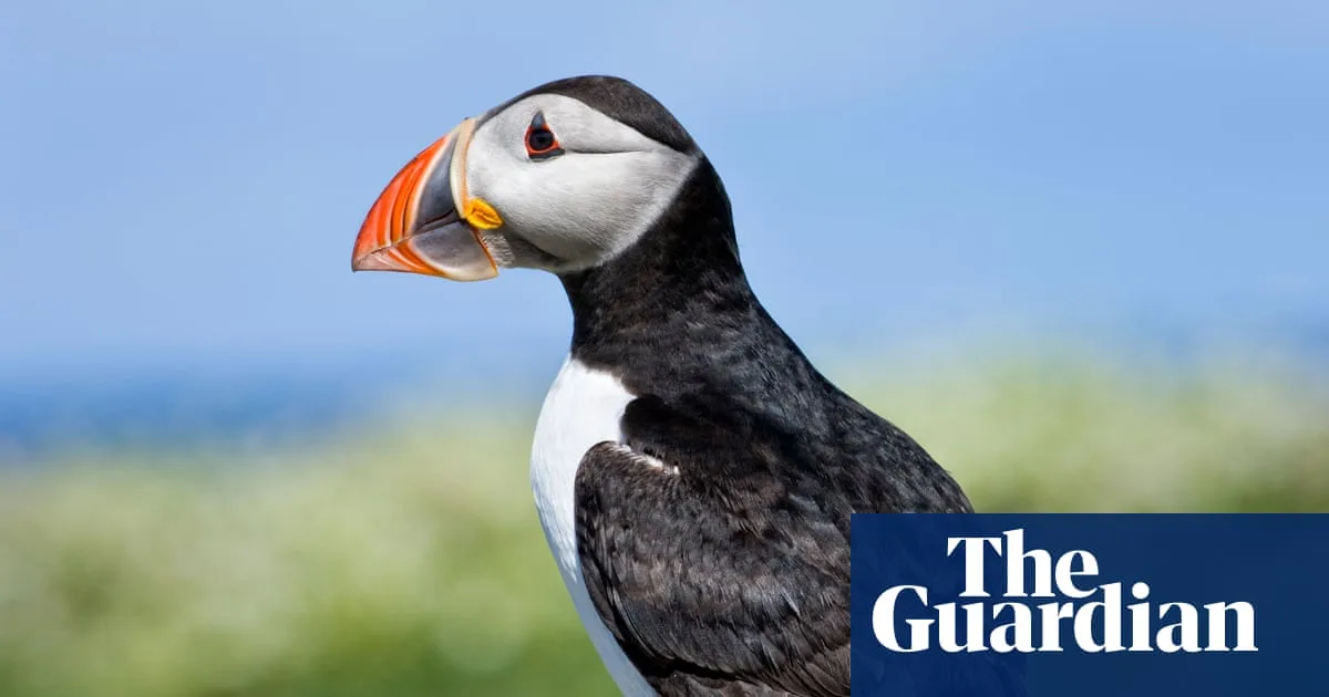 Bank of England Shortlists UK Wildlife to Feature on New Banknotes