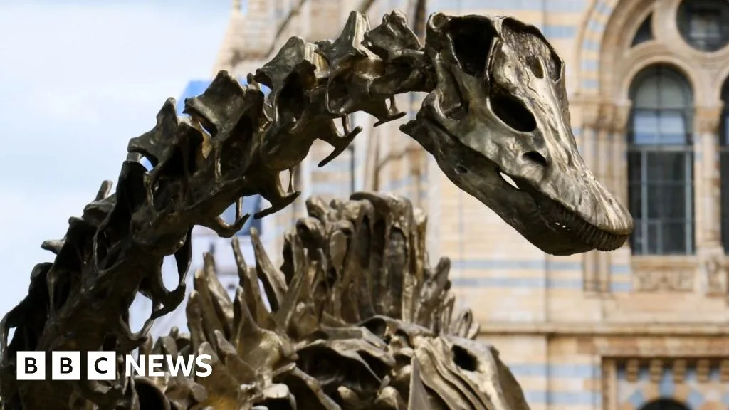 Natural History Museum Sets UK Visitor Record in 2025, Surpassing British Museum