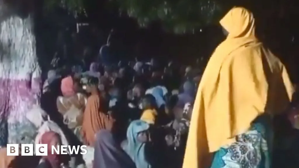 Nigerian Forces Free Hundreds of Captives from Boko Haram Hideout in Borno State