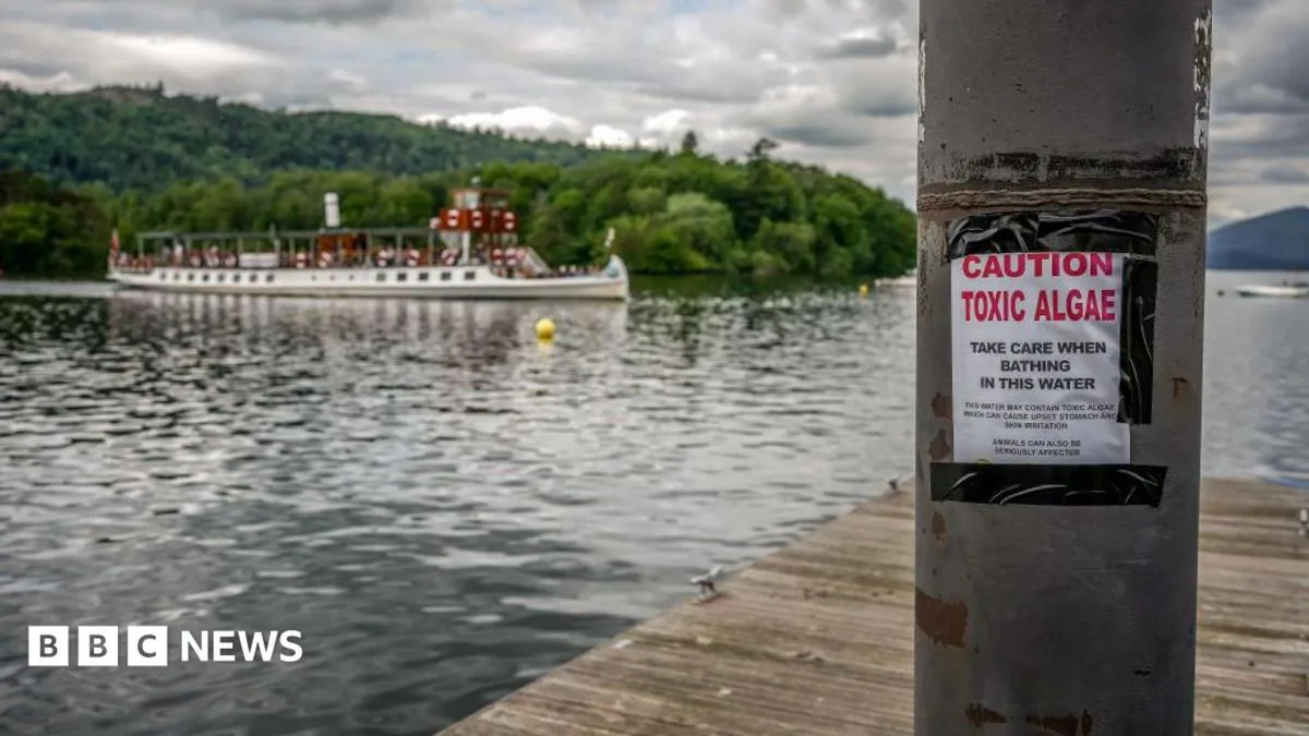Official Review Finds Most of England's Rivers and Lakes Fail Environmental Standards