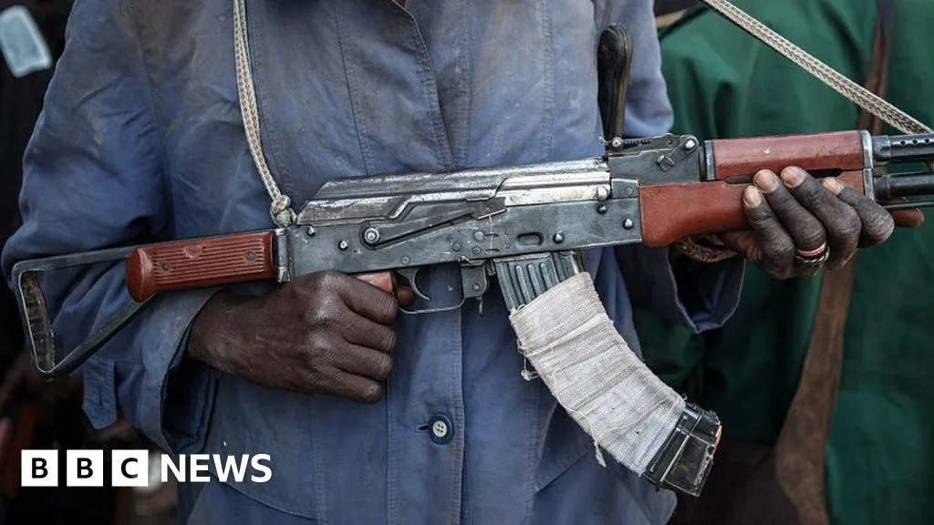 Over 50 Schoolchildren Reported Kidnapped in Attack on Borno State, Nigeria