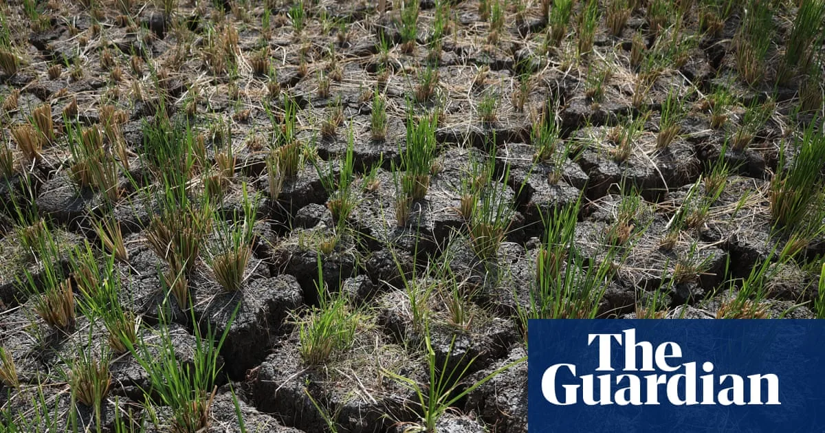 Record-Breaking El Niño and Heatwaves Reported Across Australia and Europe