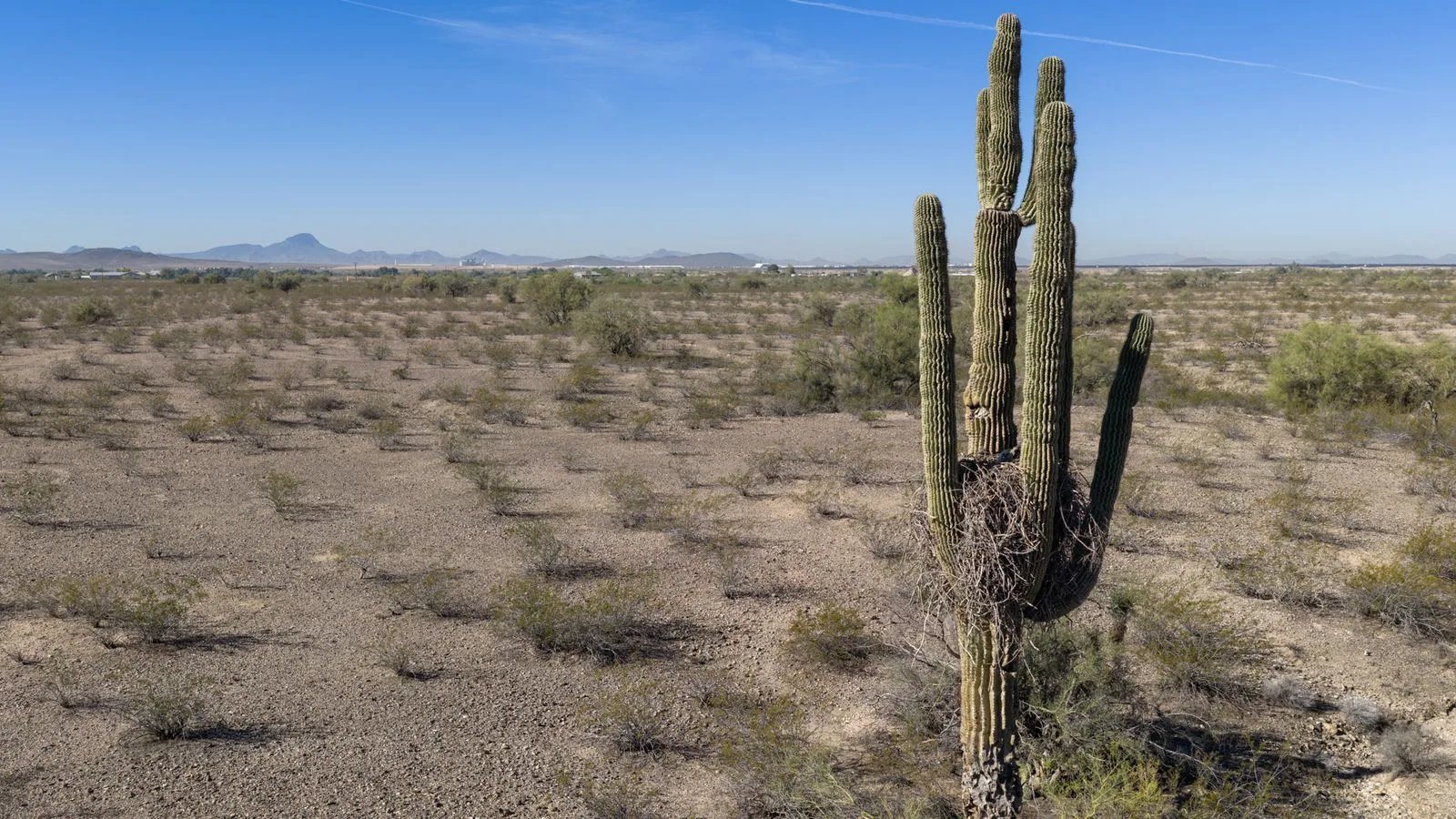 Record March Heat Reported in US Southwest as Temperatures Rise Early