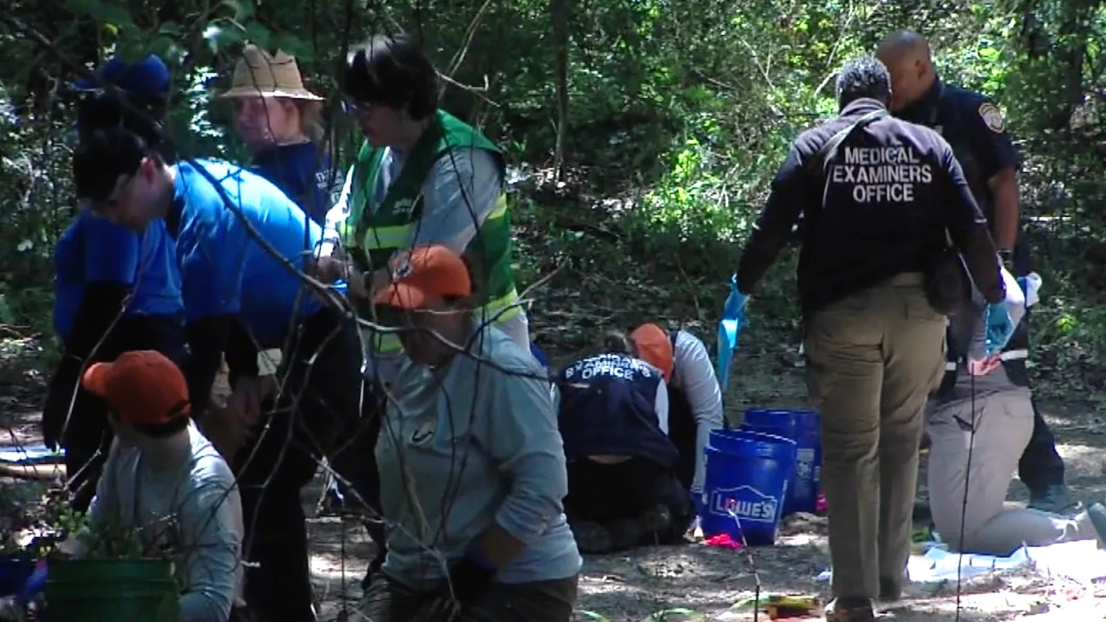 Remains of Multiple Young Children Discovered in Memphis Wooded Area