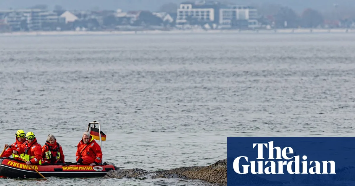 Rescue Teams Attempt to Save Stranded Humpback Whale in Baltic Sea