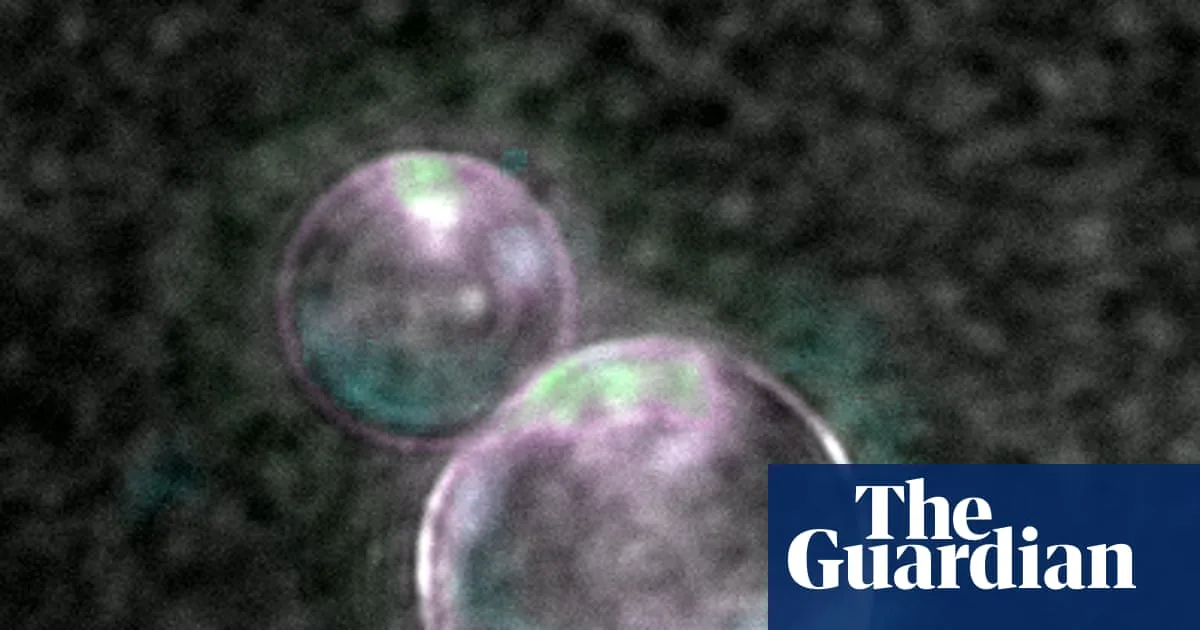 Scientists Create Synthetic Cell That Feeds, Grows, and Reproduces in Lab