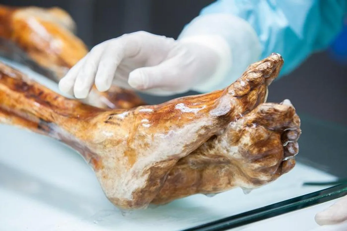 Scientists Discover Living Microorganisms in Ötzi the Iceman's Mummified Remains