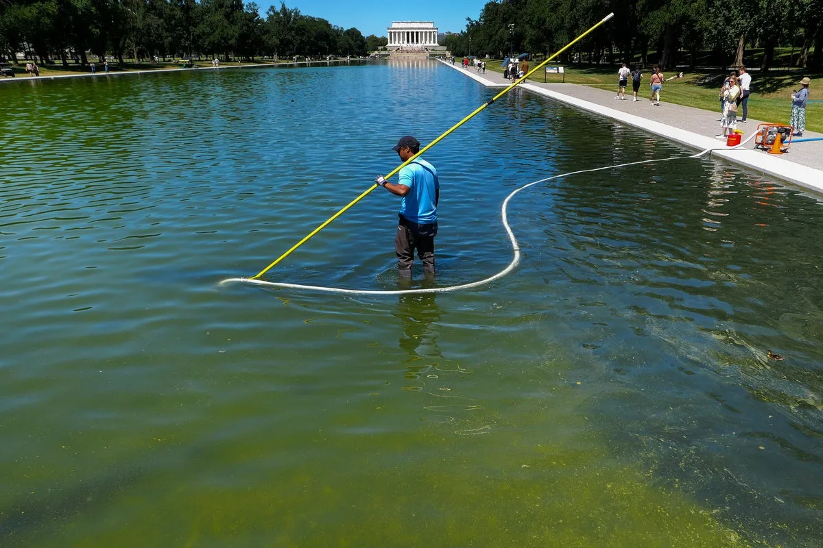 Scientists Propose Alternatives to Chemical Cleaning for Reflecting Pool Algae