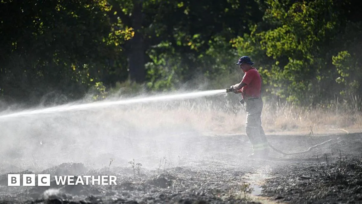 Scientists Warn of Potentially Record-Breaking El Niño Event Developing