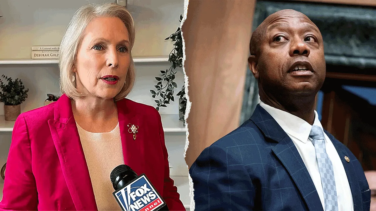 Senate Races and Economic Concerns Shape 2026 Midterm Outlook