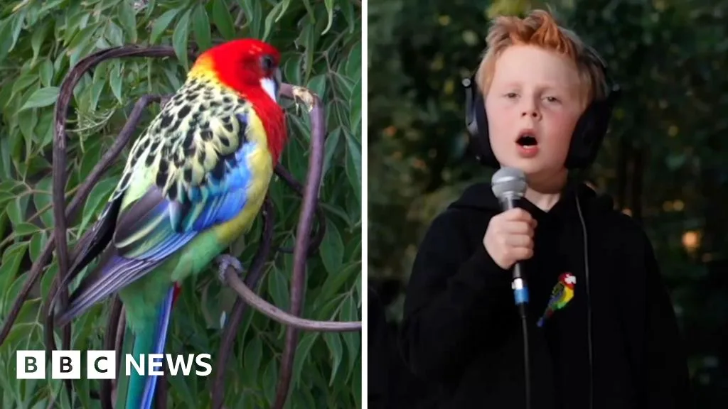 Seven-Year-Old Miles Phillips' Song 'Eastern Rosellas' Reaches 1.5 Million Views