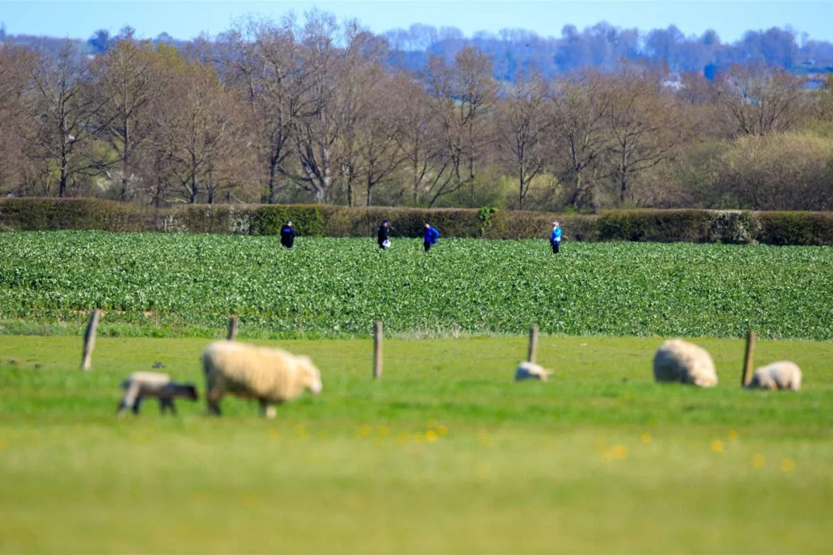 Skydiver Dies During Jump at Headcorn Aerodrome in Kent