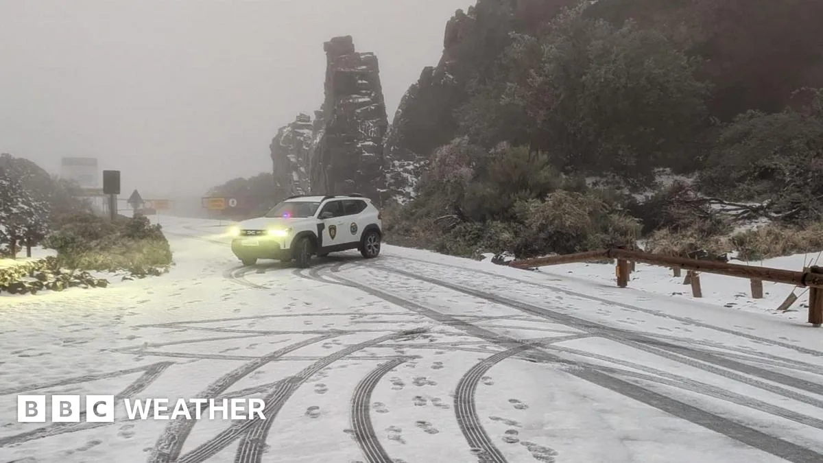 Storm Therese brings snow, wind, and state of emergency to Tenerife