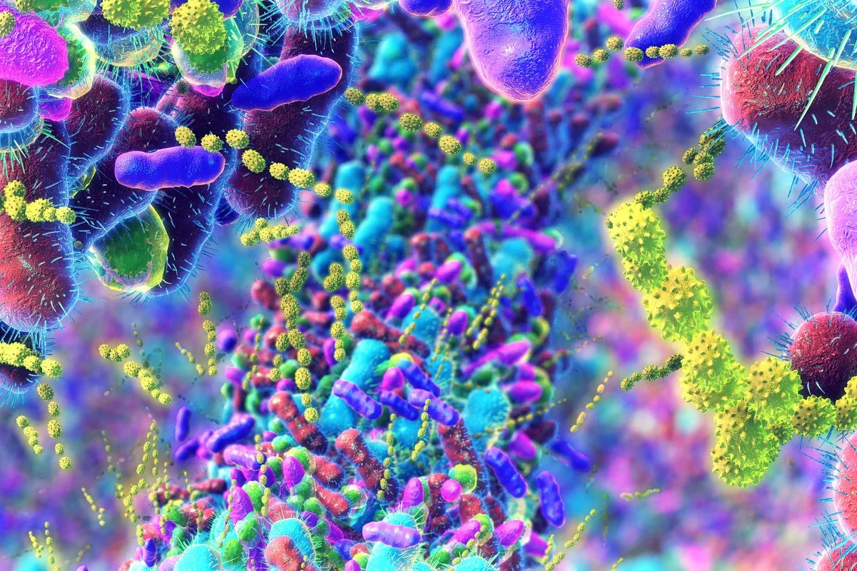 Study Finds Gut Microbiome Changes Linked to Parkinson’s Disease Risk