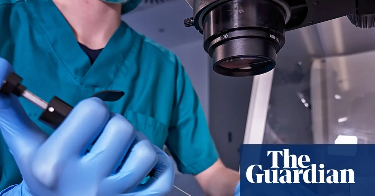 Study Finds Most IVF Add-On Treatments Lack Reliable Evidence of Effectiveness
