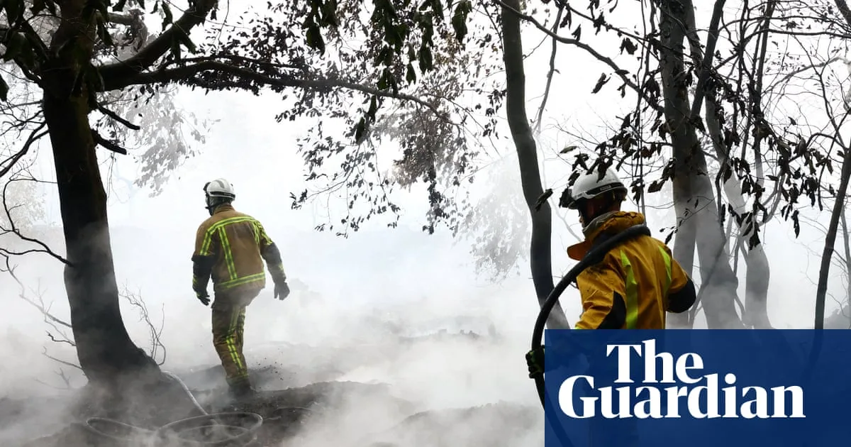 Study Projects 39% Increase in European Wildfires by Century's End Without Action