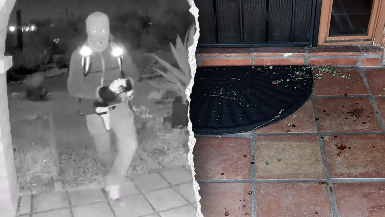 Suspect in South Florida Student Murders Searched Online About Body Disposal