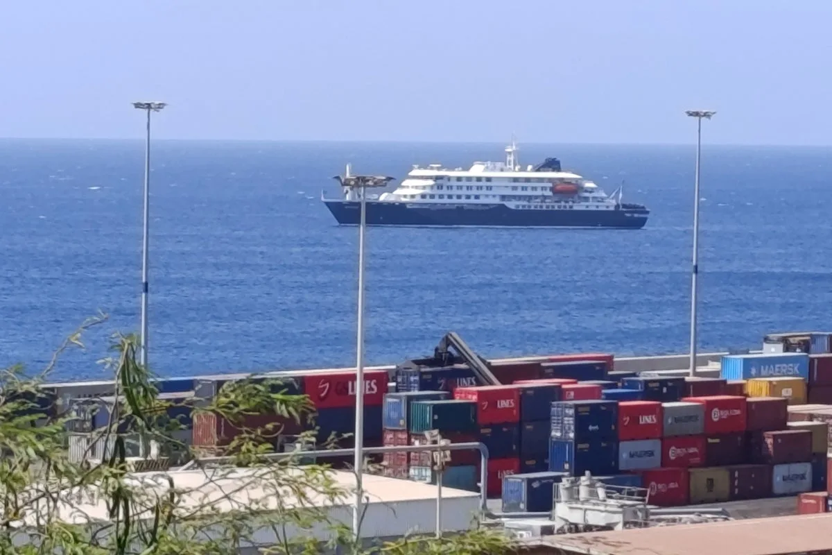 Confirmed and Suspected Hantavirus Cases Reported on Stranded Cruise Ship