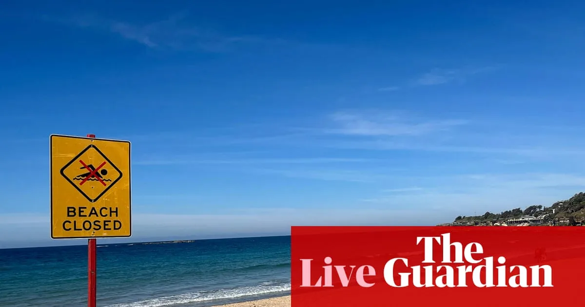 Sydney Beach Reopens After Shark Attack Prompts Safety Debate and Expert Response