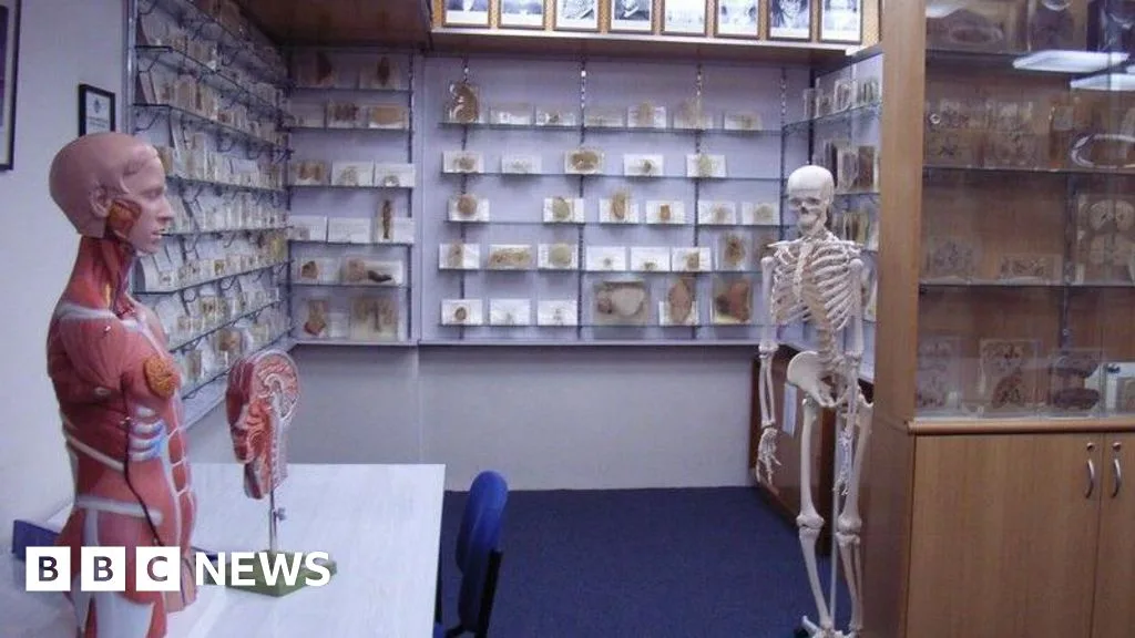 Tasmanian Government Issues Apology Over Unconsented Retention of Human Specimens