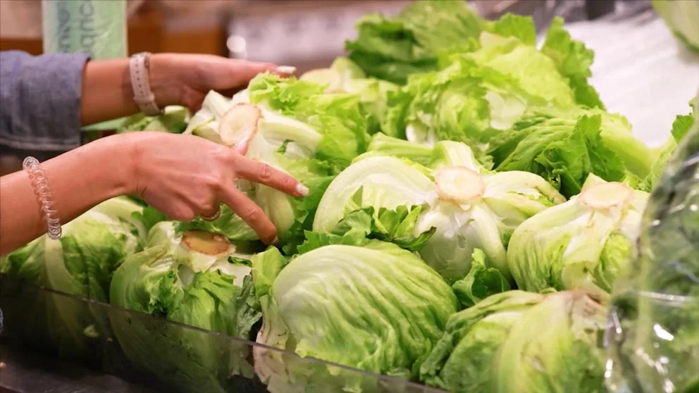 Taylor Farms Recalls Iceberg Lettuce in 27 States Amid Cyclospora Outbreak