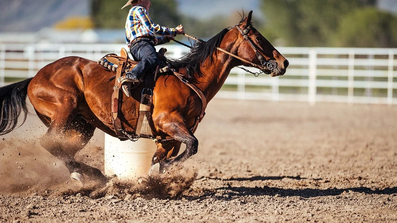 Teen Arrested After Three Horses Injured at Las Vegas Equestrian Event