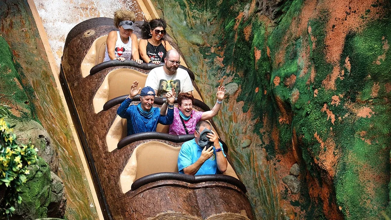Teen Exits Disneyland Ride Before 50-Foot Drop, Attraction Temporarily Closed
