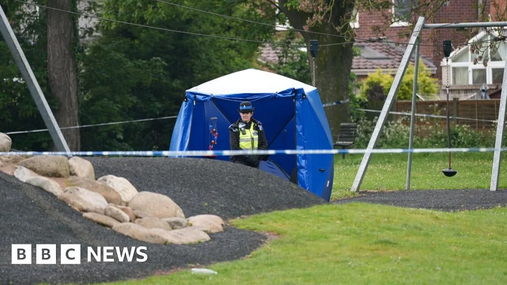 Teenage Boy Dies After Being Struck by Falling Tree in Stafford