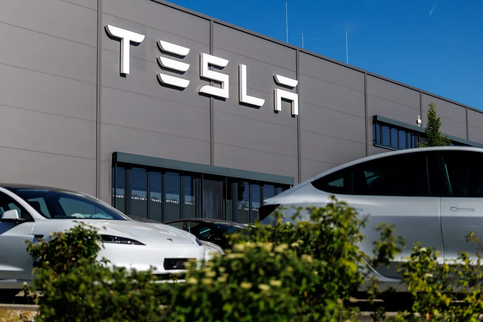 Tesla Investors and Traders Focus on Upcoming Earnings Report