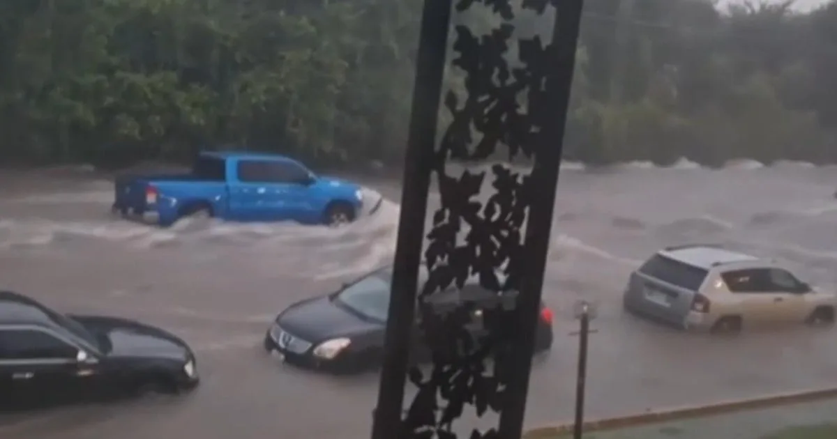 Severe Storms Cause Widespread Flash Flooding and Disaster Declarations in Texas