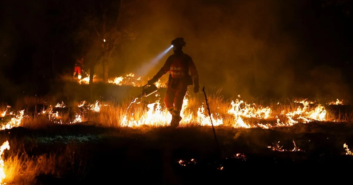 Wildfires Near Bordeaux Burn Large Areas as France Faces Extreme Heat