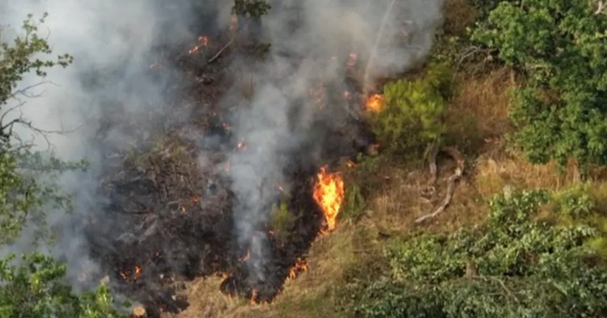 Three Firefighters Killed Battling Wildfires Near Colorado-Utah Border