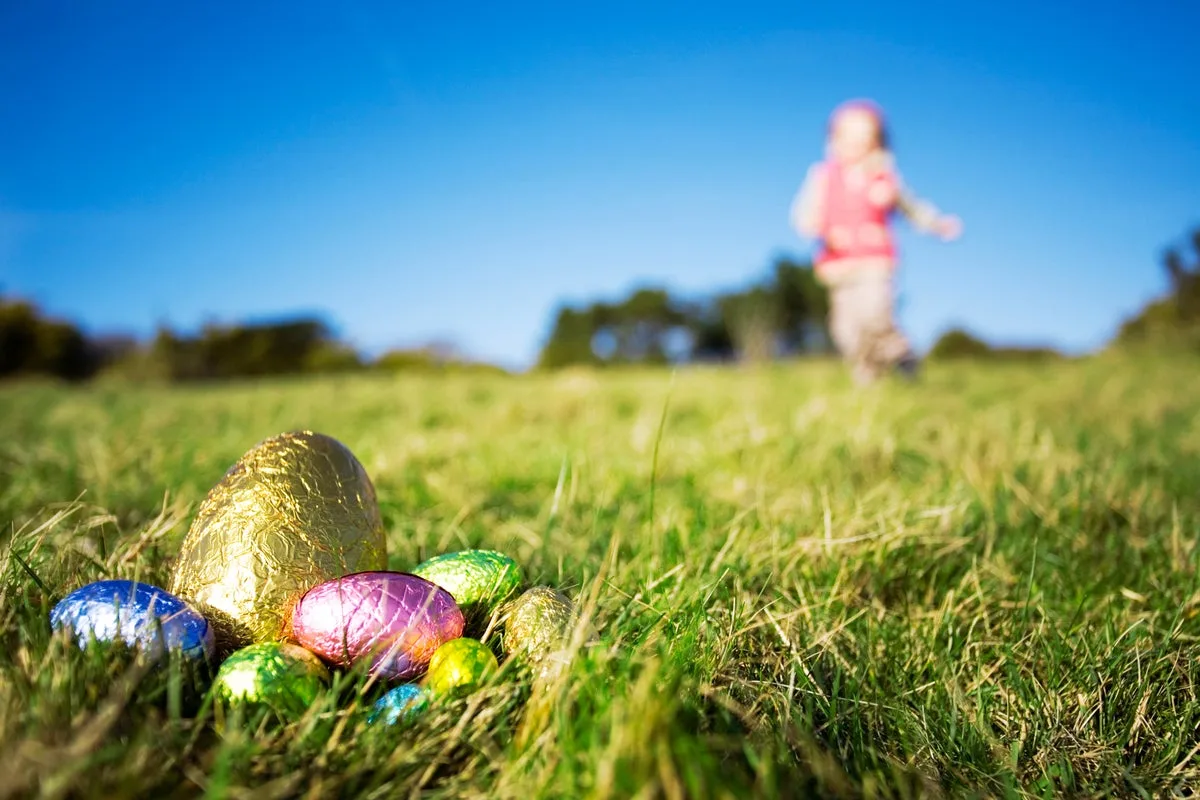 Three Killed by Falling Tree During Easter Egg Hunt in Germany