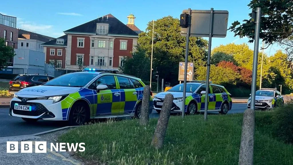 Three Teenagers Arrested After Man Dies in Chelmsford Park Incident